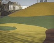 Rainey Park playground