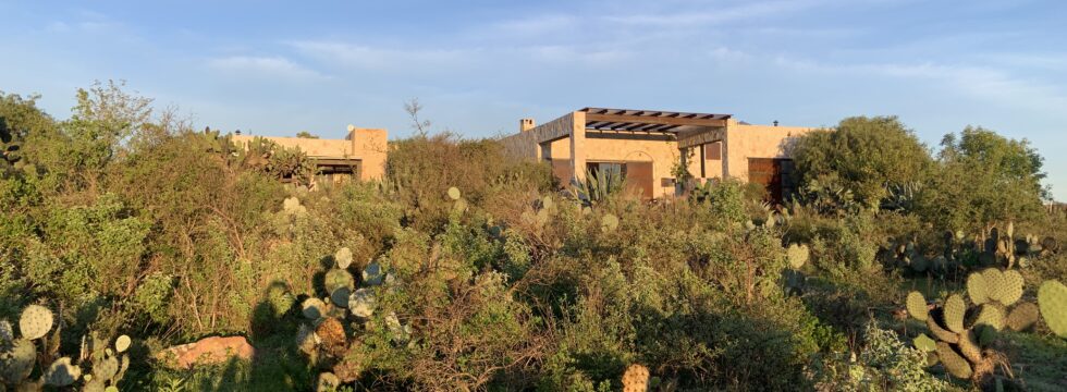 Rancho Luna Maguey